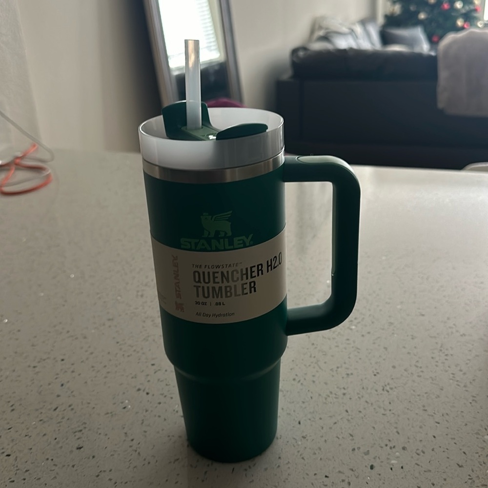 NWT Stanley 30oz
